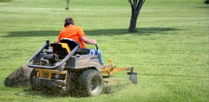 Weekly mowing